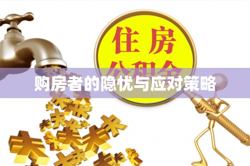 马鞍山购房者的隐忧与应对策略