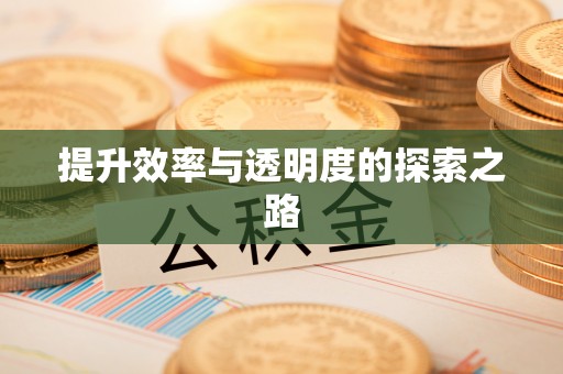 马鞍山提升效率与透明度的探索之路