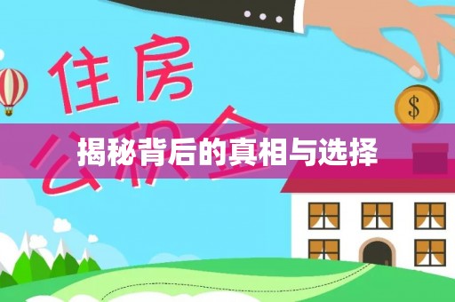 马鞍山揭秘背后的真相与选择