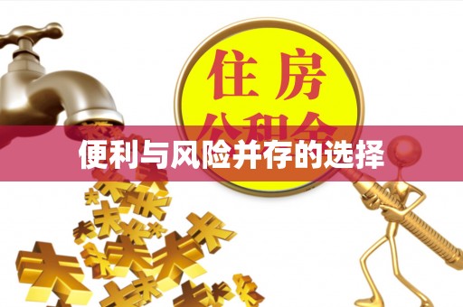 马鞍山便利与风险并存的选择